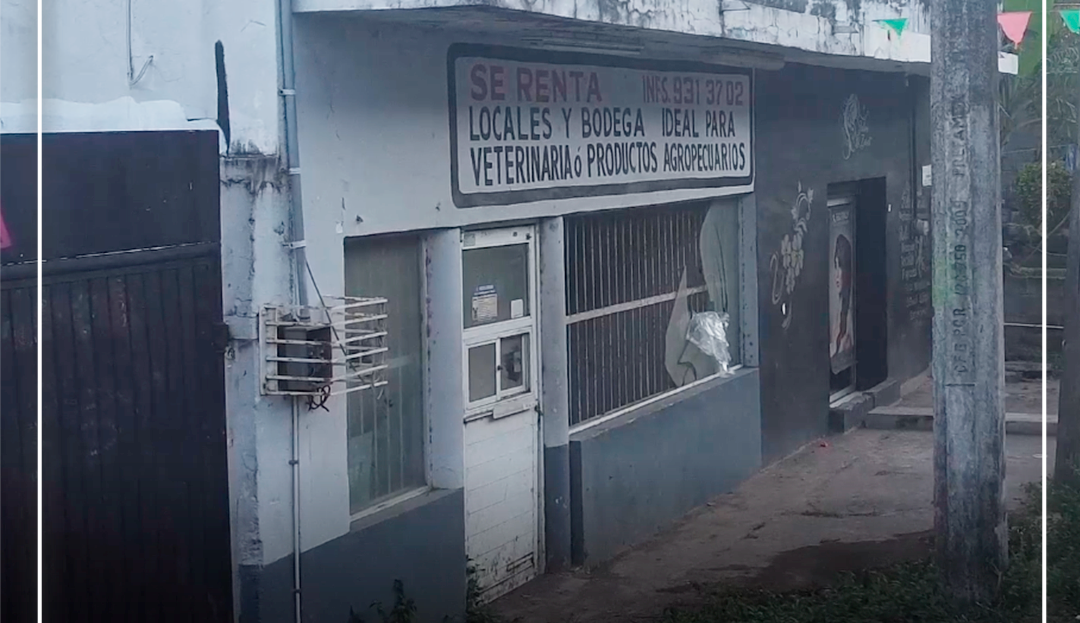 video image